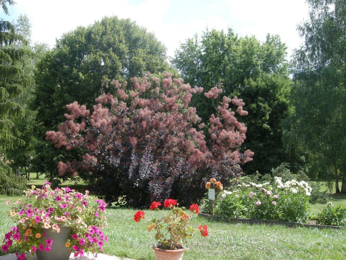 Le Grand Pre Bed & Breakfast Daillancourt Dış mekan fotoğraf
